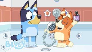 Relax   Brand New - Series 3  Bluey