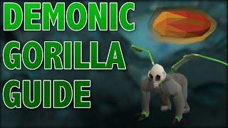 OSRS Demonic Gorillas Guide  Easy Kills  Noob Friendly  Cheap