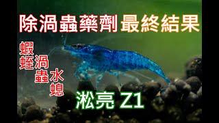 輕鬆除渦蟲  渦蟲蝦蛭水螅通殺！  淞亮 Z1 實測下  SL AQUA Aquarium Bio Protector  clean planarian and hydra quicky