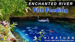 Enchanted River -  Fish Feeding Time l Hinatuan Surigao Del Sur