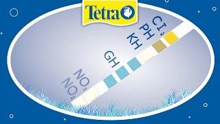 Wasserwerte im Aquarium testen TETRA 6in1 Test