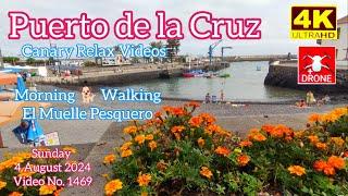 Tenerife ️ Puerto de la Cruz Morning El Muelle Pesquero 4 August 2024 Teneriffa