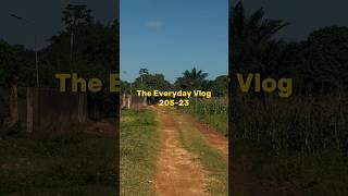 The Everyday Vlog - 205