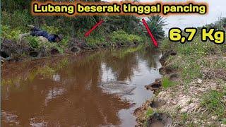 MANCING BELUT DAPAT 6.7Kg siapa sangka tanah gambut banyak belut nya best eel fishing