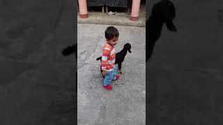 playing with kid