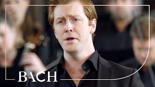 Bach - Matthäus-Passion BWV 244 - Van Veldhoven  Nederlandse Bachvereniging