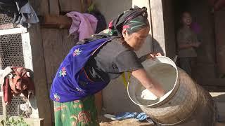 Cooking technology in village  Village life