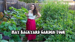 In Full Bloom A Colorful Backyard Garden Tour  Permaculture Principles and Huge Harvests