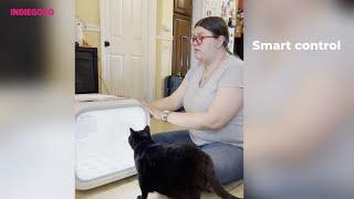 Unboxing PETKIT AIRSALON MAX Indiegogo Reacts To A Dryer For Pets