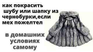 Как покрасить мех в домашних условиях самому