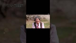 K특강 생각의 힘_11회 해마다 다시 피는 꽃처럼 – 매실 명인 홍쌍리 #shorts