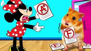 So Sorry Minnie Hamster Hamham Will Be A Good Student  Life Of Pets HamHam