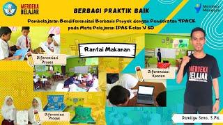 Praktik Baik Pembelajaran Berdiferensiasi Berbasis Proyek dengan Pendekatan TPACK IPAS Fase C