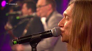 Vuffeli-vov  Michael Hardinger Band live fra Top Charlie i Parken 2015