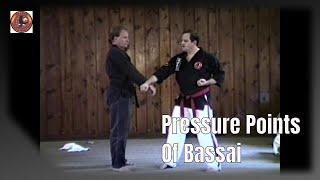 Pressure Points of Bassai KataDillman DVD 8