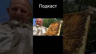 Андрей Востряков 3 точка 220 пчелосемей + сублиматоры анонс подкаста