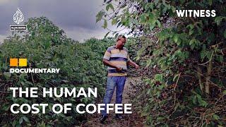 Rescuing coffee farm workers from slave-like conditions in Brazil  Witness Documentary