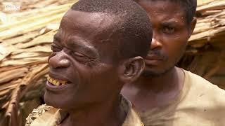 Конго. Путешествие в сердце Африки. Полный документальный фильм BBC Africa.