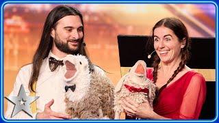 Ventriloquists Daniele & Naimana sing OPERA with SHEEP  Auditions  BGT 2024