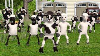 Cute Goat and Cow Dancing Happy Birthday Childrens Song