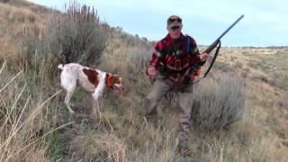 Thanksgiving Partridge Hunt 2016