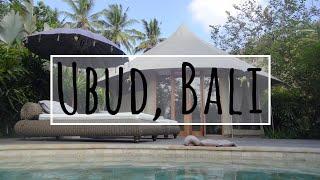 Luxury Camping Bali -  Sandat Glamping Ubud  Property Tour
