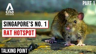 Singapores Rat Problem Why Are They So Hard To Exterminate?  Talking Point  Full Episode