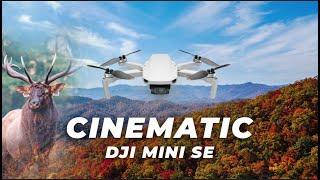 DJI Mini SE Cinematic Fall In the Mountains Footage 4K  Peak Leaf Season + Elk