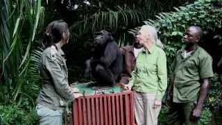 Lincroyable geste de Wounda à Jane Goodall