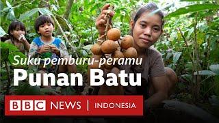 Suku pemburu-peramu Punan Batu Bertahan di hutan atau bertarung melawan zaman - BBC News Indonesia