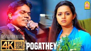Pogathey  4K Video Song  போகாதே  Deepavali  Jayam Ravi  Bhavana  Yuvan Shankar Raja