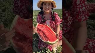 The watermelons carefully selected are different