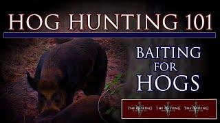 HOG BAITING TIPS - HOG HUNTING 101  THE CALLING 90