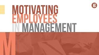 Motivating Employees in Management