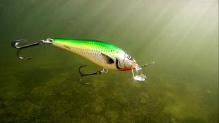 How to use & film underwater Salmo fishing lures for pike muskie bass. Воблеры для щуки и окуня