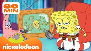 سبونج بوب  كل برنامج تلفزيوني في بيكيني بوتوم  Nickelodeon Arabia