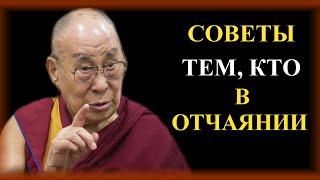 Далай Лама. Его слова заставляют задуматься ЛУЧШИЕ ЦИТАТЫ Далай Ламы XIV #dalailama #цитаты