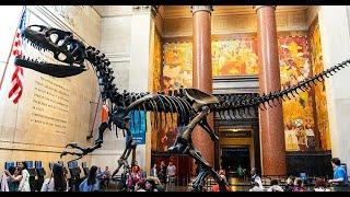 New York City Walking Tour American Museum of Natural History 2021