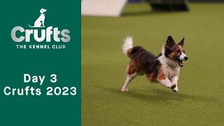 Day 3 of Crufts 2023