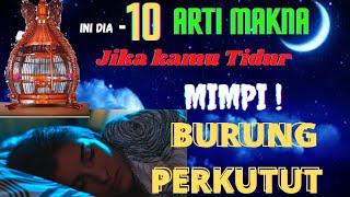 10 TAFSIR MISTERI MIMPI BURUNG PERKUTUT‼️TAKBIR MIMPI MENURUT PRIMBON