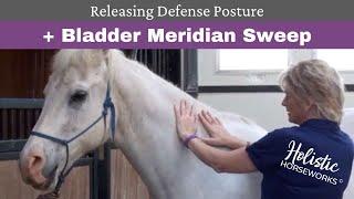 Releasing Defense Posture and Bladder Meridian Sweep with diagrams LAST