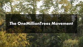 About the OneMillionTrees movement