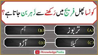 islami Urdu Paheliyan  Islamic Riddles  اسللامی سوال جواب اور معلومات   islamic  Questions 621