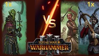 Har Ganeth Executioners vs Empire Infantry Roster in Total War Warhammer 3