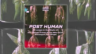 100% Royalty FreeFree Download Don Toliver x Travis Scott Loop Kit - Post Human  18 Loops 