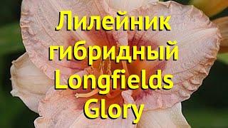 Лилейник гибридный Лонгфилдс Глори. Краткий обзор описание hemerocallis Longfields Glory