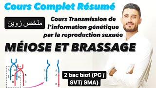 Cours complet Transmission de l’information génétique par la reproduction sexuée Méiose  Brassage