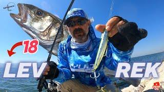 TOP WATER ATTACK OF BASS  BASS FISHING Magnificent fishing with WTD