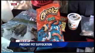 Preventing Pet Suffocation - Ask a Vet with Dr. Jyl