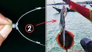 2 Fish Hunting Secrets that are easy for anyone to do 